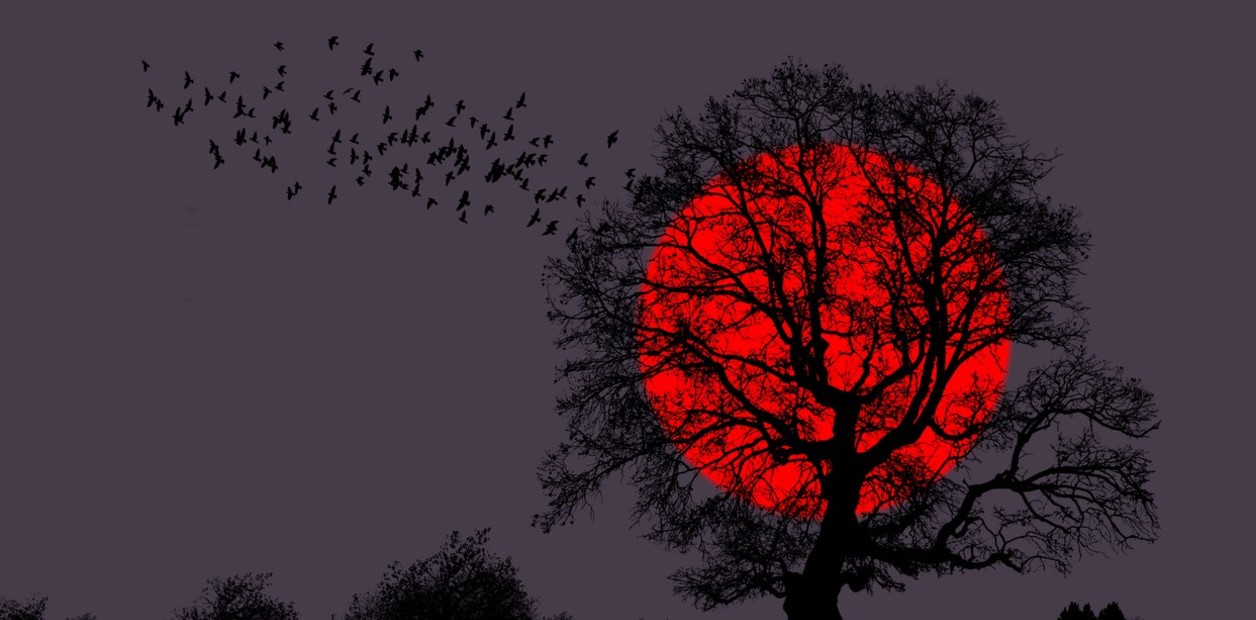 Homenaje a la luna llena en pleno eclipse