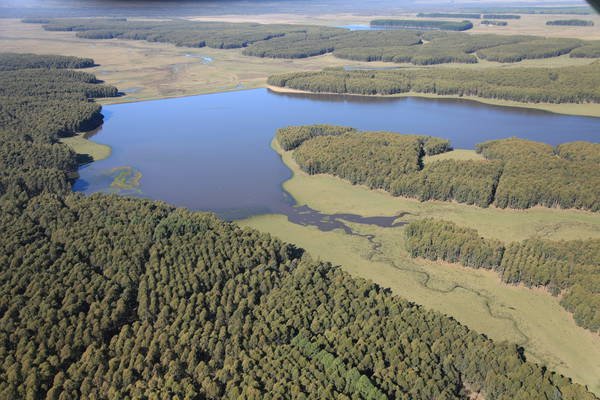 UPM confirma inversión, mirá como será