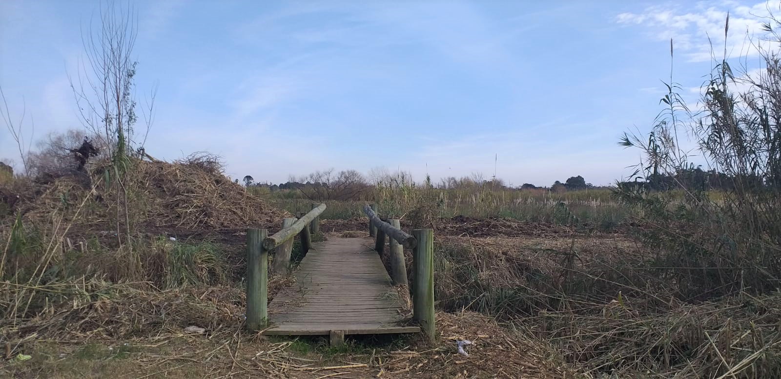 Limpian terreno para mejorar seguridad en Lagomar