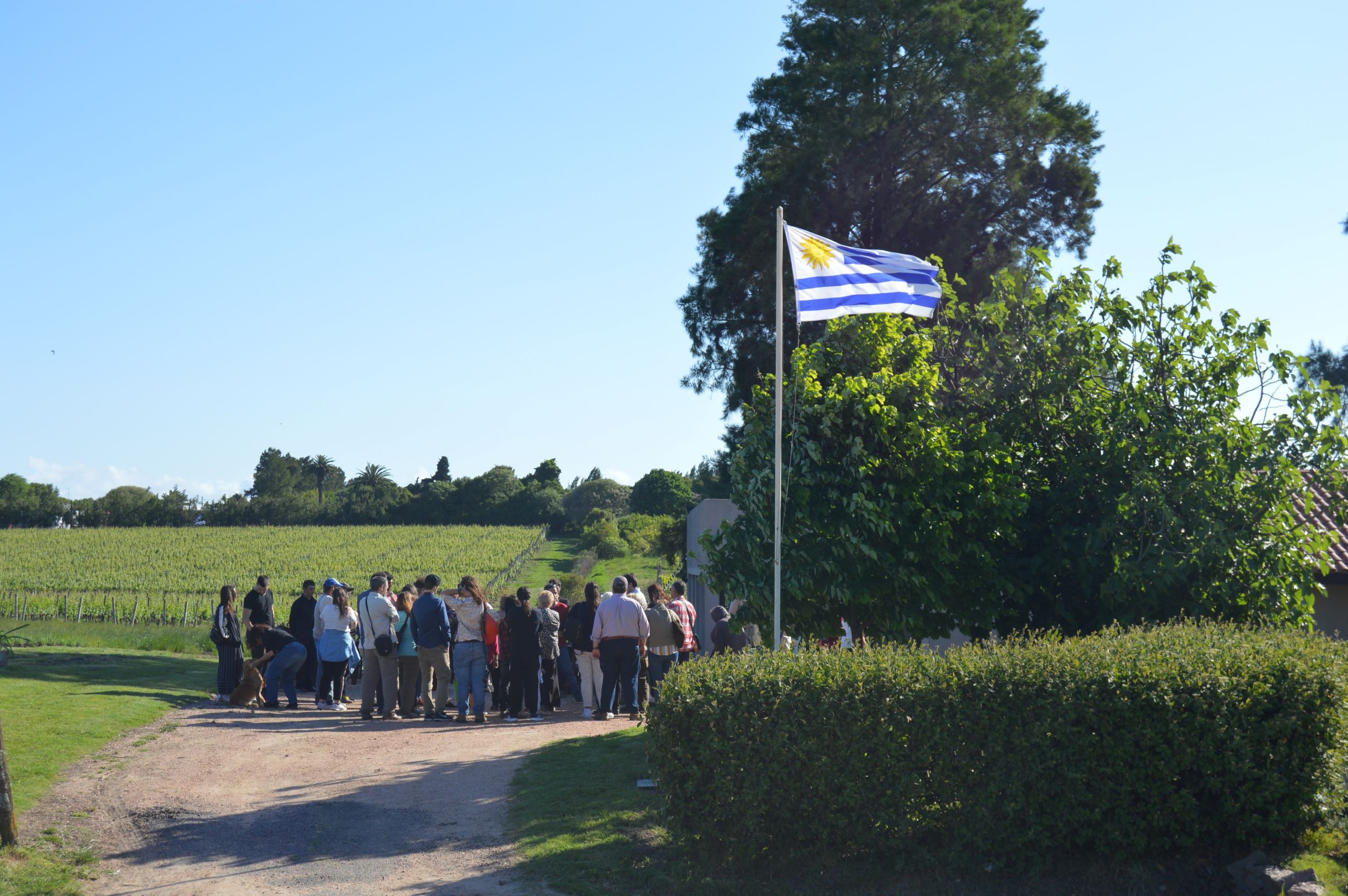 40 organizaciones rurales donarán productos, servicios y logística ante emergencia