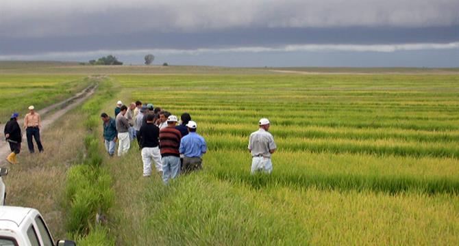 Uruguay ante el desafío de triplicar la demanda de alimentos