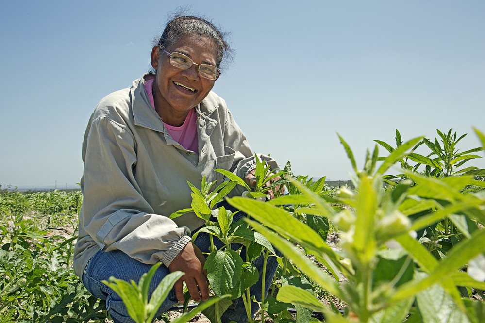 Mujeres rurales se encuentran en Parque Roosevelt el viernes