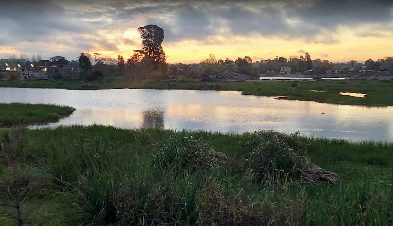 Muere atrapado por volcadora un trabajador en Ciudad de la Costa