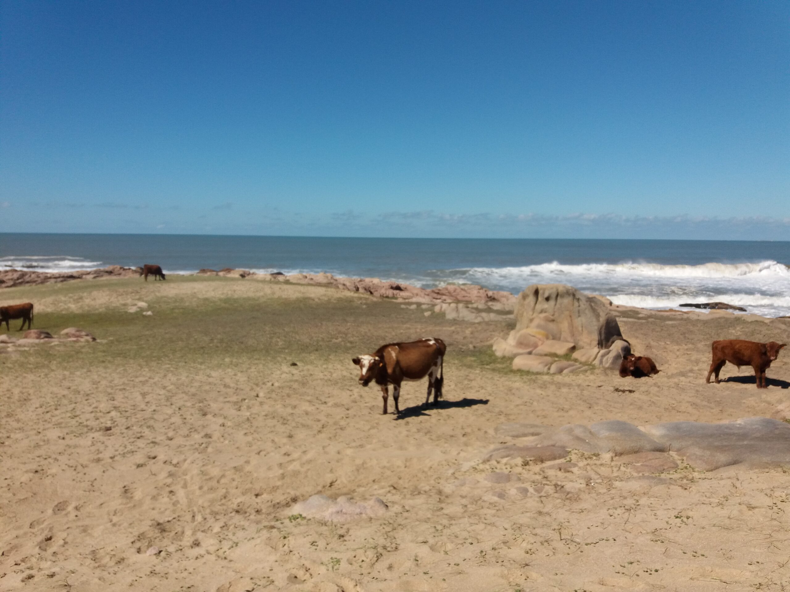 Oeste de Canelones “critico” por sequía, piden la emergencia