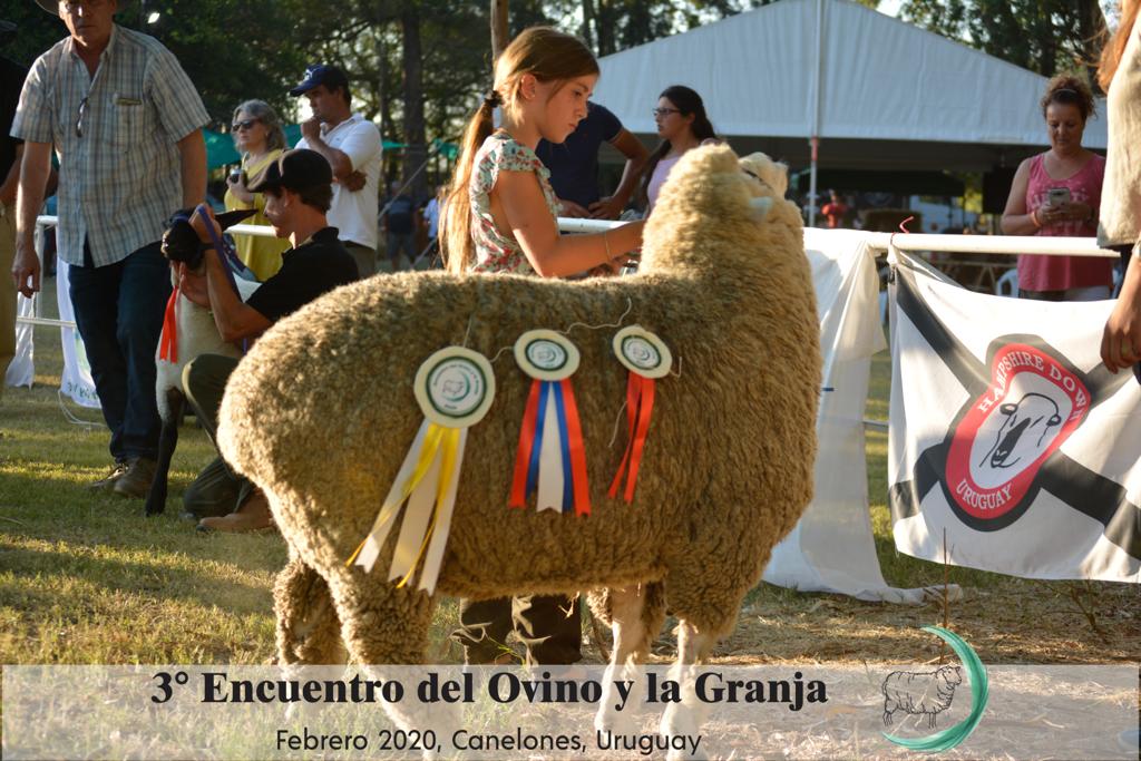 Se viene el Encuentro del Ovino y la Granja