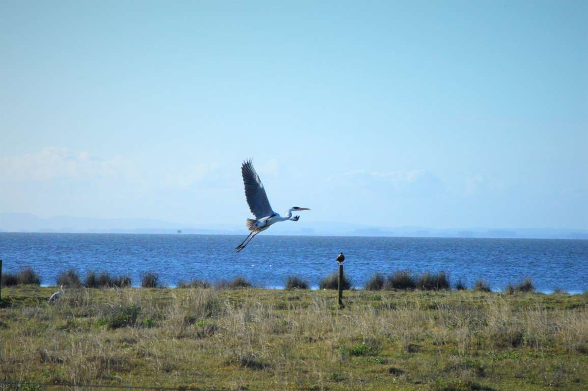 Gran interés despertó en escuelas  capacitación sobre biodiversidad