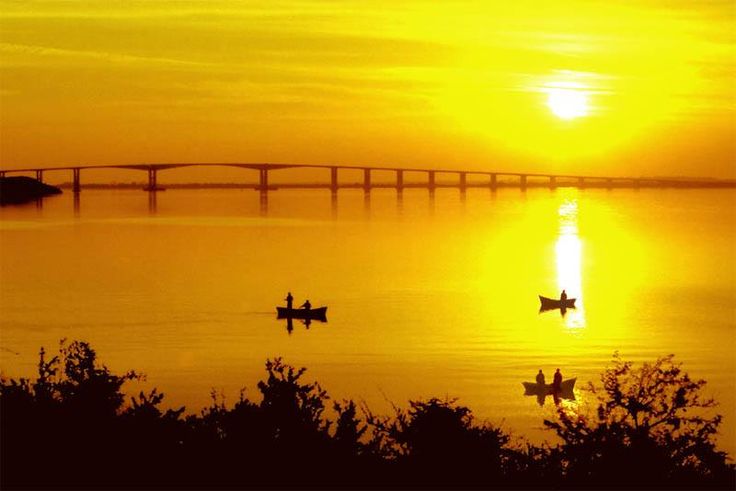 Crisis litoraleña,diferencia cambiaria y “medidas vigentes que no se aplican”