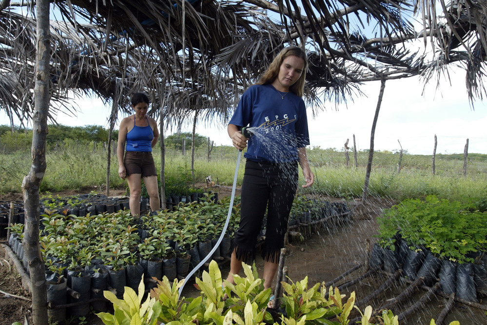 Capacitarán a jóvenes rurales sin trabajo ni estudios