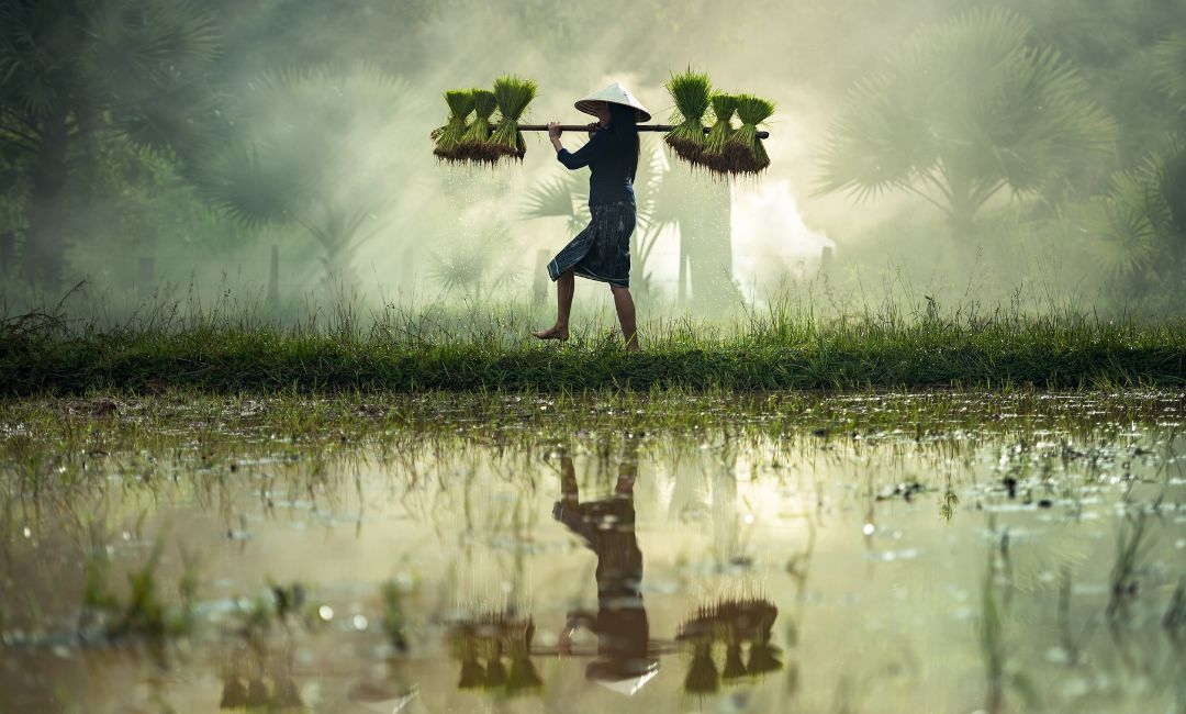 100 trabajadores a seguro de paro por cierre parcial de SAMAN Montevideo