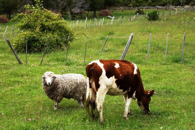 Cesa emergencia pero no para para frutas y hortalizas