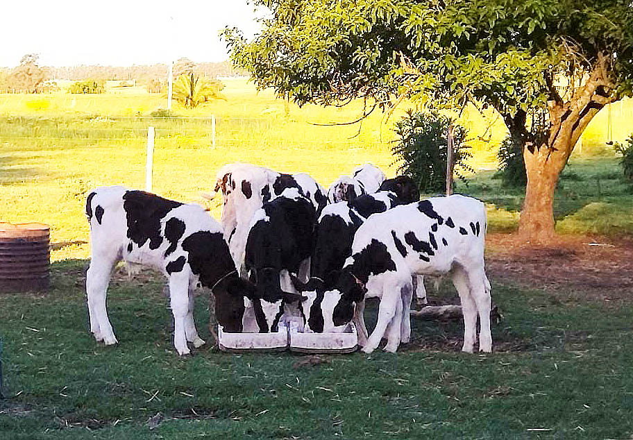 Colonización invirtió los 10 millones previstos en tierras y pide ampliación
