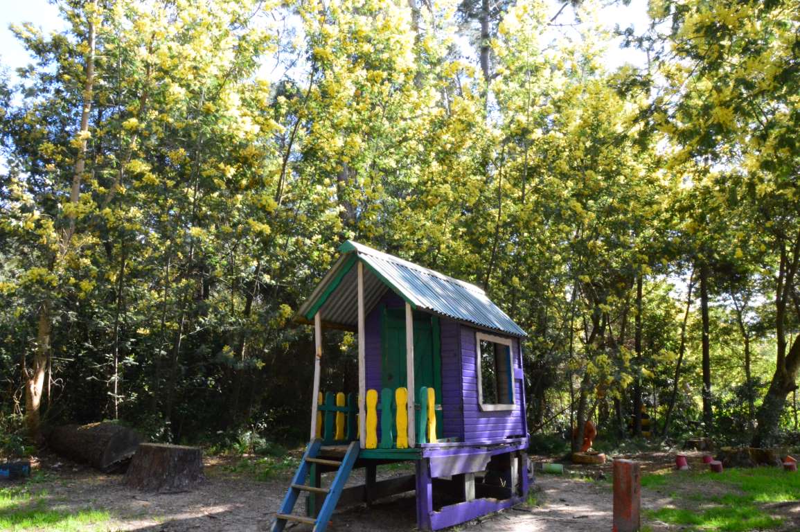 Canelones tendrá una “red de parques” para mejor gestión y disfrute