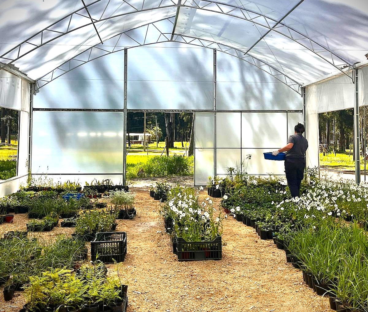 El Parque Roosevelt inaugura vivero propio y proveerá a todos los parques de Canelones