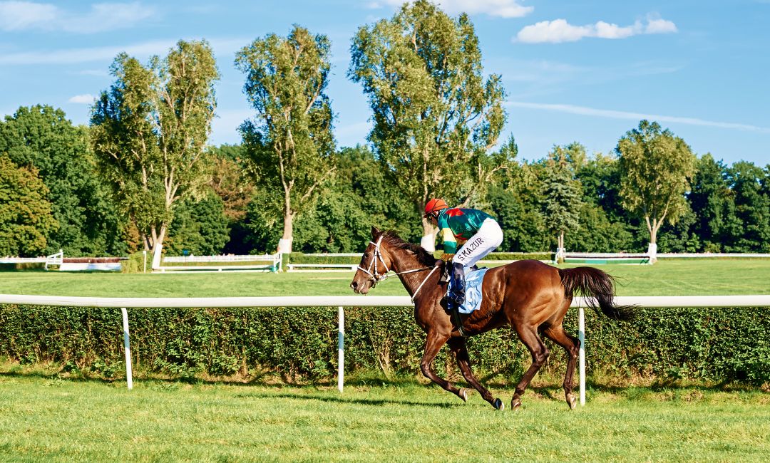 Criadores de caballos expulsan al mayor propietario tras acusaciones de doping