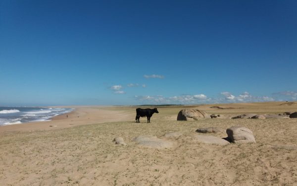 Gobierno y técnicos analizan déficit hídrico “desparejo” y medidas