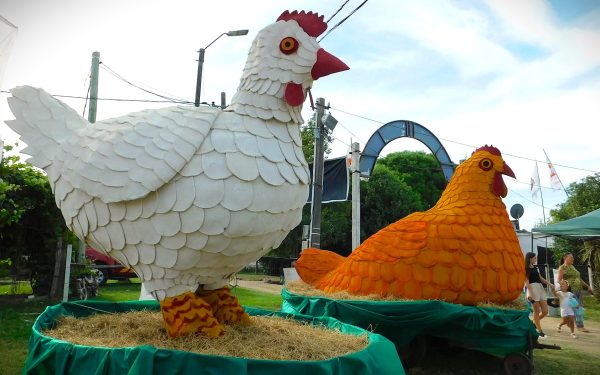 Expo Avícola sin alteraciones por emergencia sanitaria con todo pronto para la gran fiesta