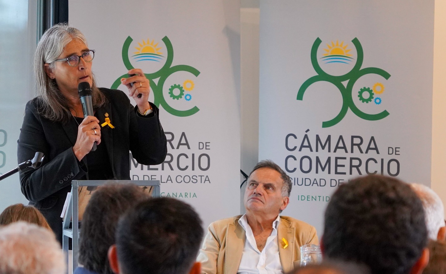 ¿Porque BRT y no tren o metro?