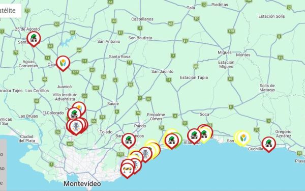 Árboles caidos y vivienda dañada saldo el temporal