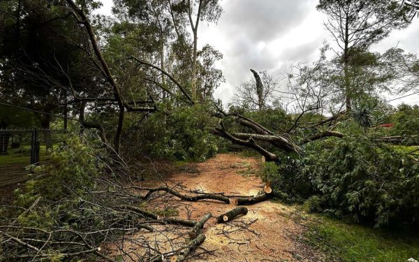 Medio millar de intervenciones, sin heridos y daños varios en por temporal en Canelones