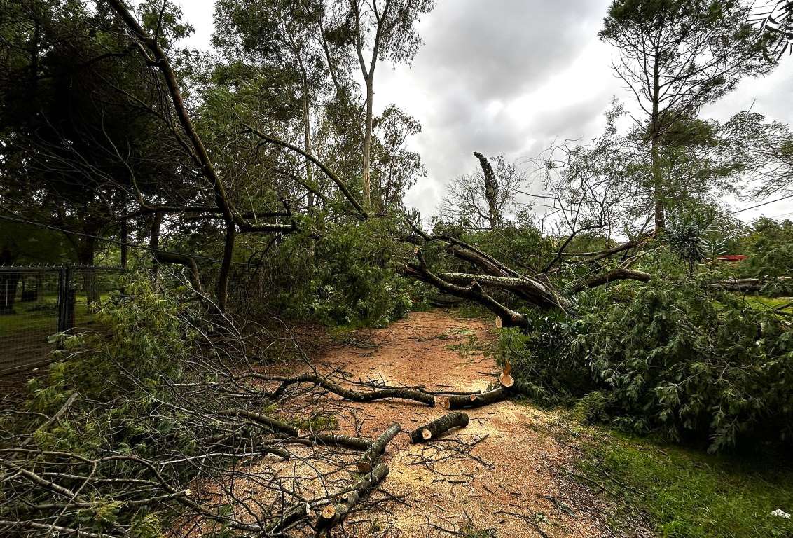 Medio millar de intervenciones, sin heridos y daños varios en por temporal en Canelones