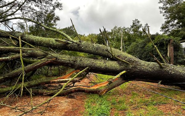 Advierten tormentas fuertes, nuevo ciclón y frío