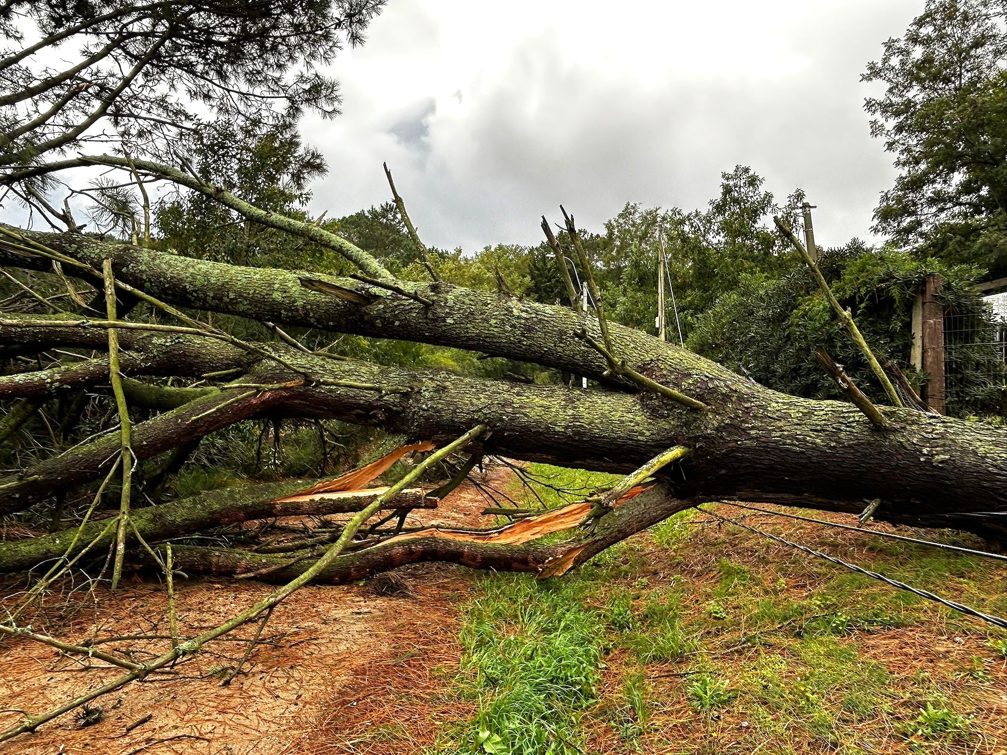 Advierten tormentas fuertes, nuevo ciclón y frío