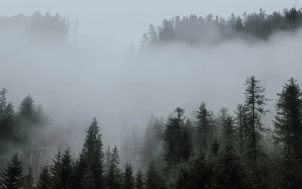 Advierten por niebla en todo el país