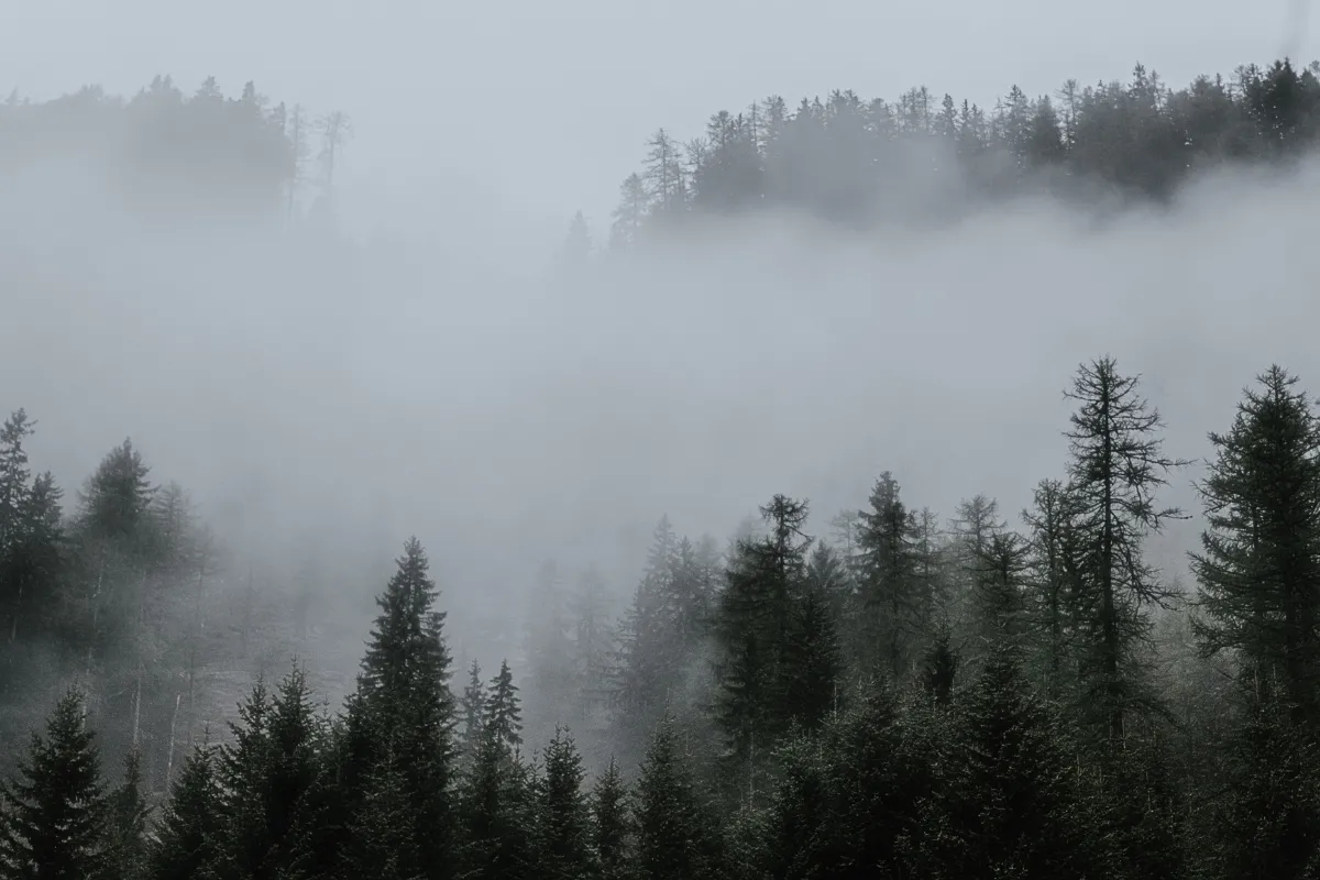 Advierten por niebla en todo el país