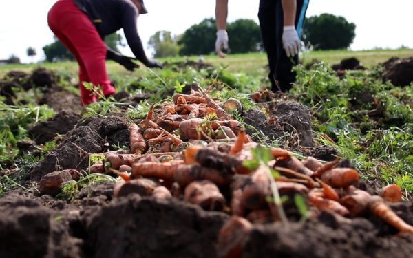 Buscan  escalar  producción granjera promoviendo bioinsumos y tecnologías sustentables