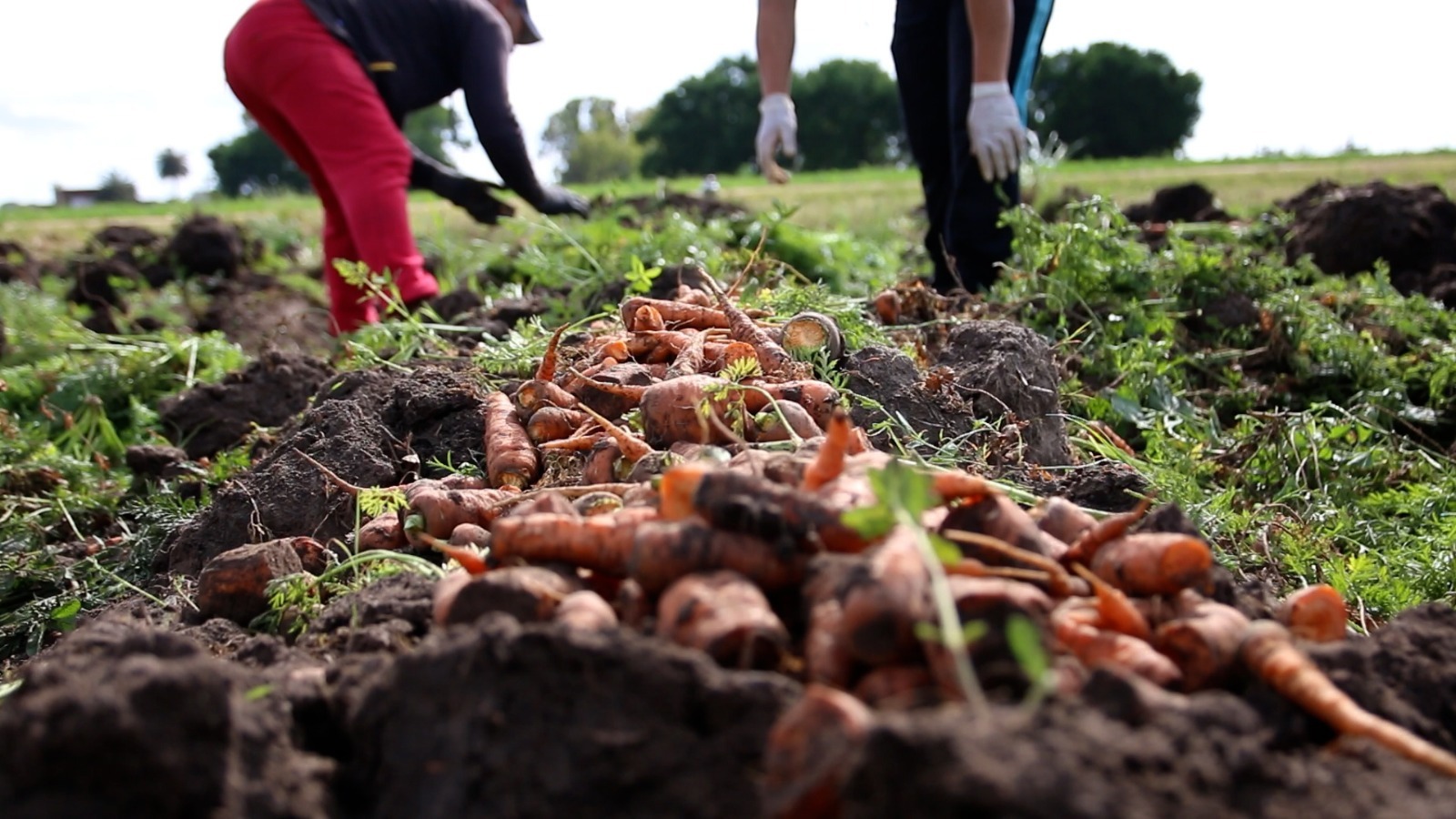 Buscan  escalar  producción granjera promoviendo bioinsumos y tecnologías sustentables